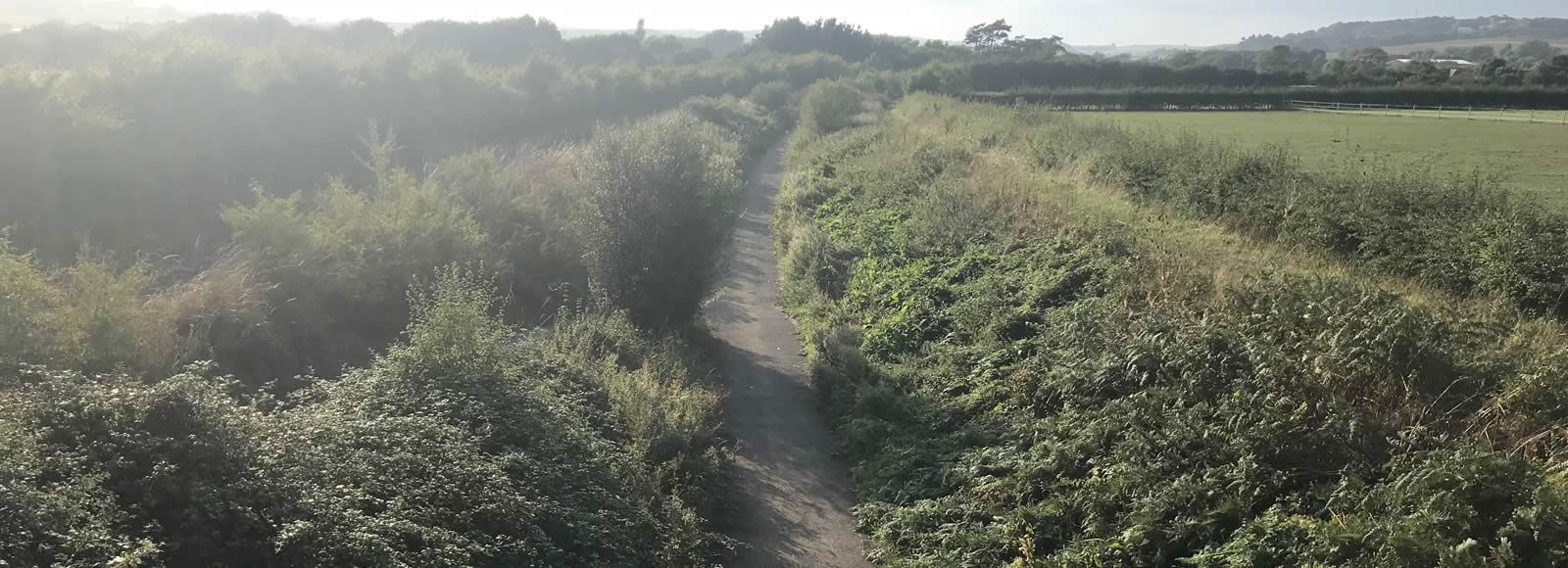 Cycle track between Merstone and East Lane