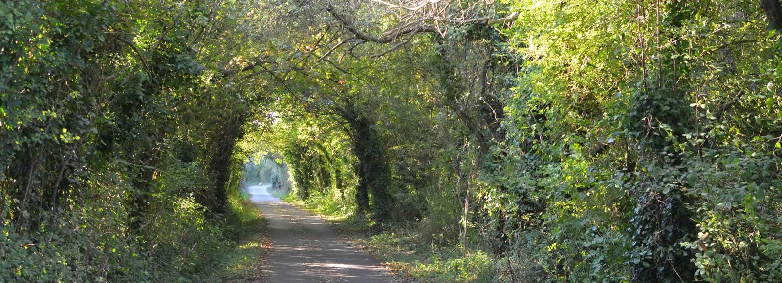 Cowes to Newport cycle track