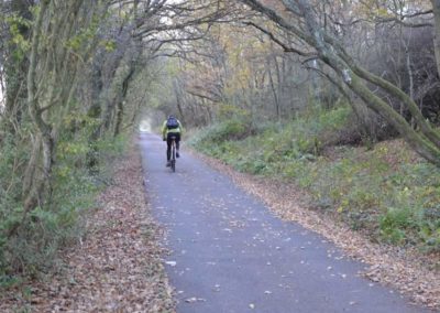 Cycling along the cycle path.