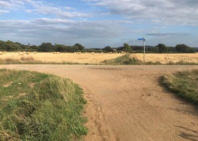 Fields near Merstone