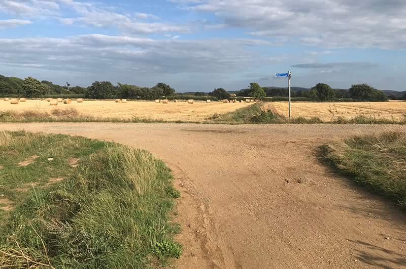 Fields near Merstone