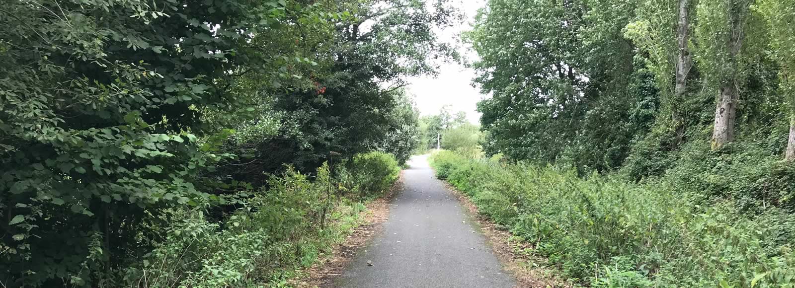 Cycle track between Horringford and Langbridge