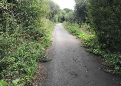 Cycle path between Langbridge and Alverstone.