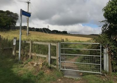 Follow the sign into the field