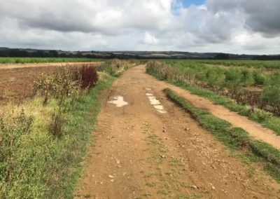 Across fields after Moor Farm