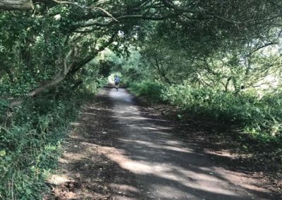 Cycle track through linear woodland near Blackwater.