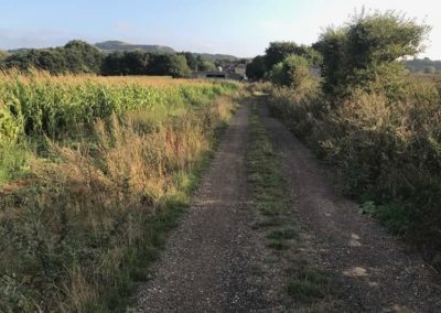 View back to Moor Farm and beyond to Stenbury Down